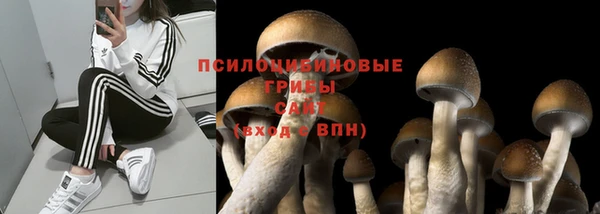 экстази Балахна
