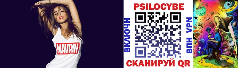 купить закладку  Вяземский  Псилоцибиновые грибы прущие грибы 